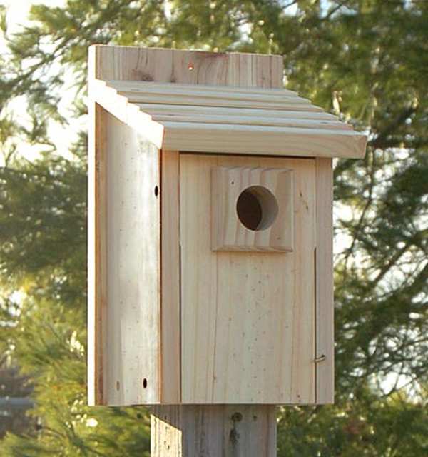 Stokes Select Bluebird House